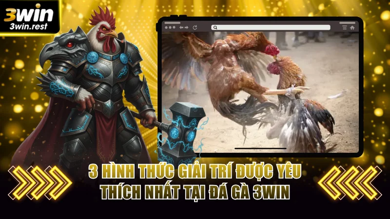 3 hình thức giải trí được yêu thích nhất tại đá gà 3WIN