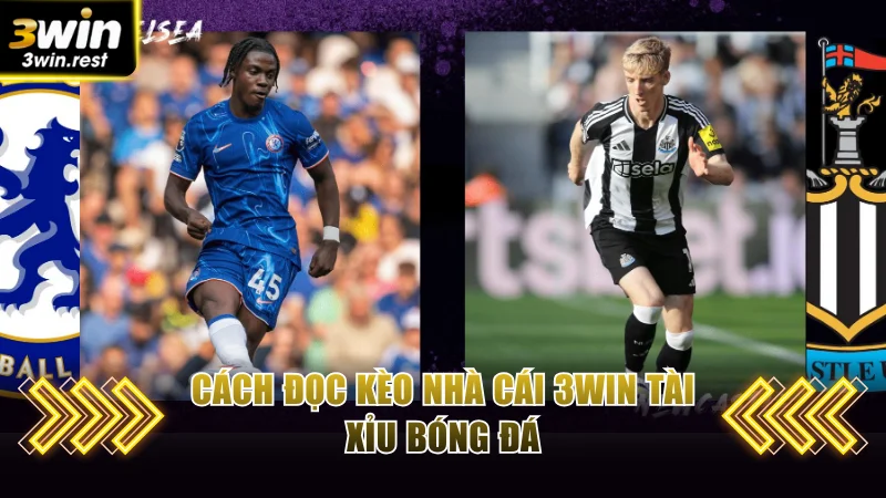 Kèo Nhà Cái - Cược La Liga, Champions League Chuẩn 99,9% 3 Cách đọc kèo nhà cái 3WIN Tài Xỉu bóng đá