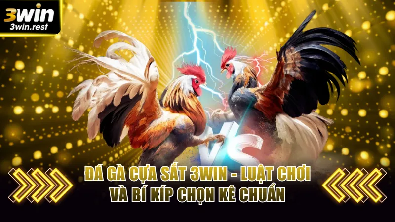 Đá gà cựa sắt
