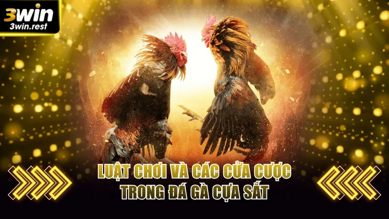 Luật chơi và các cửa cược trong đá gà cựa sắt