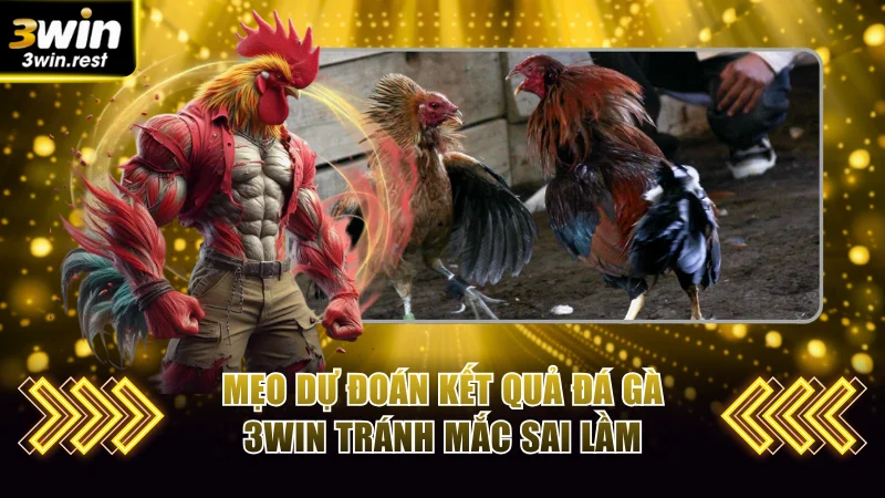 Mẹo dự đoán kết quả đá gà 3WIN tránh mắc sai lầm