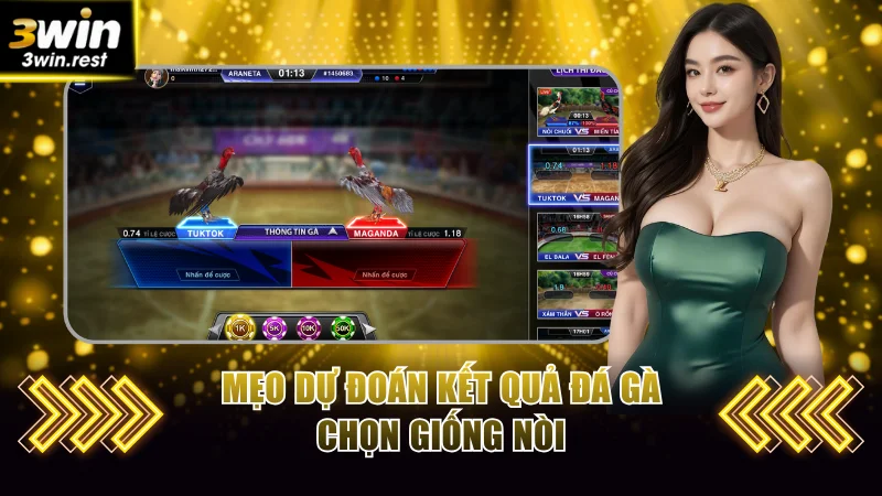 Mẹo dự đoán kết quả đá gà chọn giống nòi