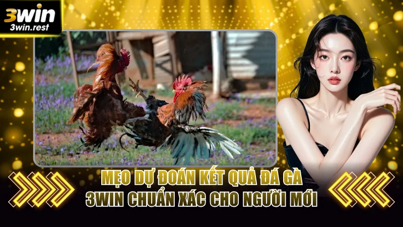 Mẹo dự đoán kết quả đá gà