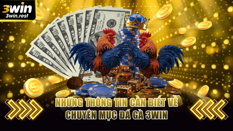 Những thông tin cần biết về chuyên mục đá gà 3WIN