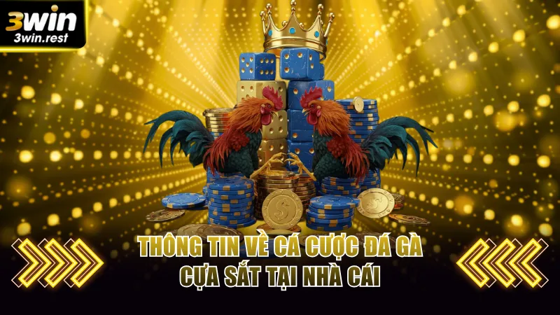 Thông tin về cá cược đá gà cựa sắt tại nhà cái