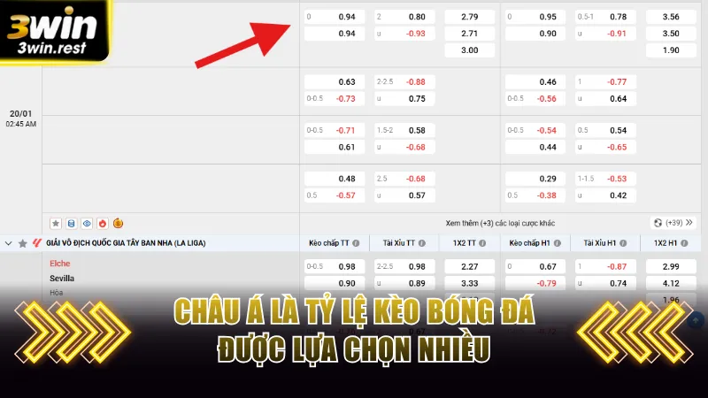Châu Á là tỷ lệ kèo bóng đá được lựa chọn nhiều