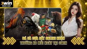 Đá gà cựa sắt