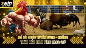 đá gà trực tuyến