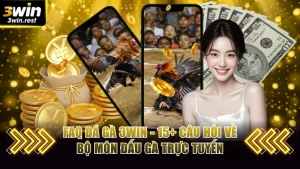FAQ đá gà 3win