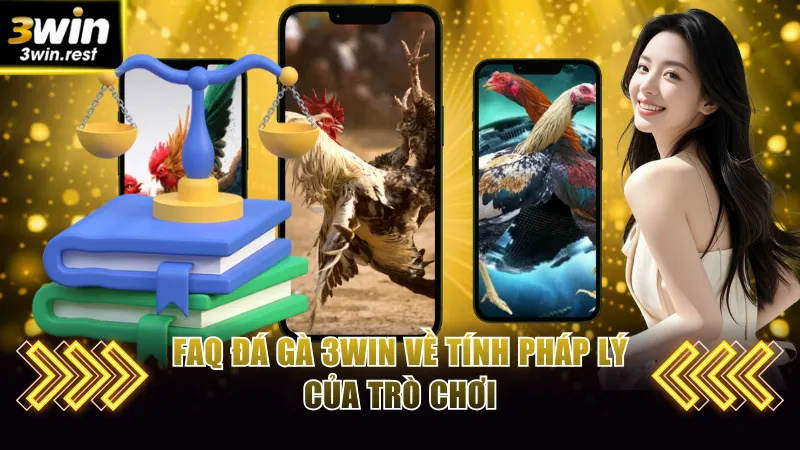 FAQ đá gà 3win về tính pháp lý của trò chơi