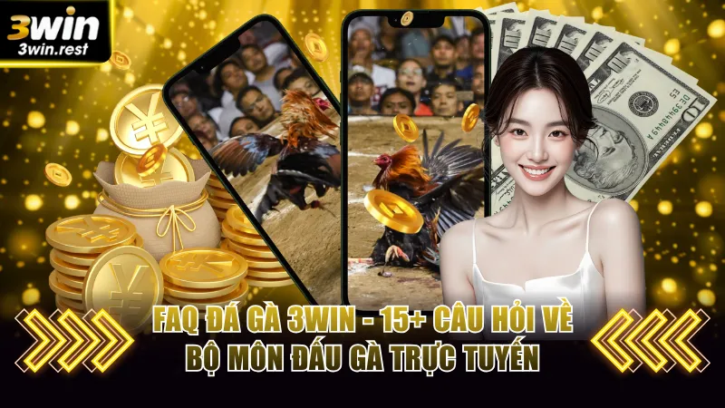 FAQ đá gà 3win