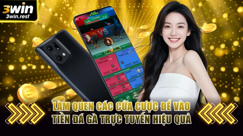 Làm quen các cửa cược để vào tiền đá gà trực tuyến hiệu quả