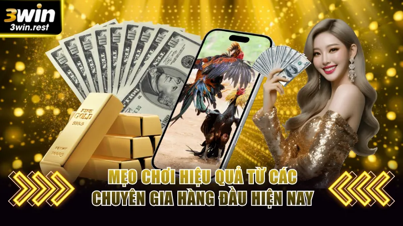 Mẹo chơi hiệu quả từ các chuyên gia hàng đầu hiện nay