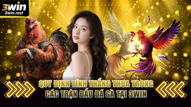 Quy định tính thắng thua trong các trận đấu đá gà tại 3Win